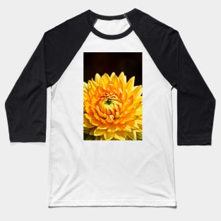 Bright Yellow Chrysanthemum Baseball T-Shirt